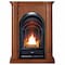 Procom Dual Fuel Ventless Gas Fireplace System - 10,000 Btu, T-Stat Contr FS100T-3AS - alternate 1